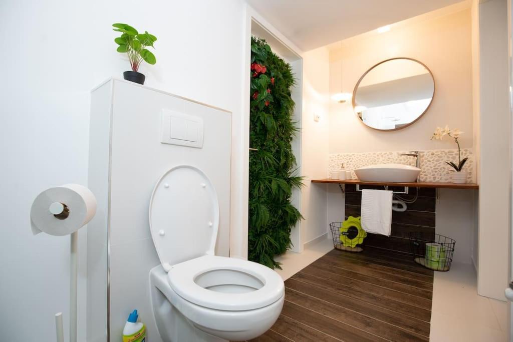 E-House Apartment Brasov Noua Luaran gambar